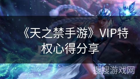 《天之禁手游》VIP特权心得分享
