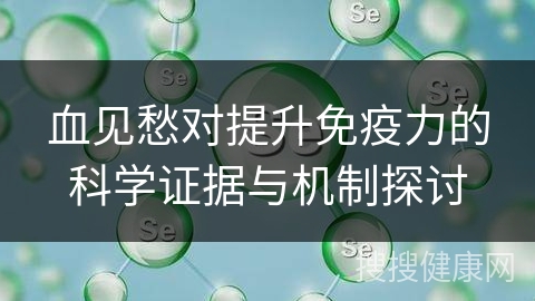 血见愁对提升免疫力的科学证据与机制探讨