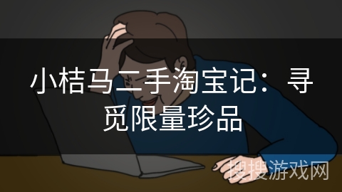 小桔马二手淘宝记：寻觅限量珍品