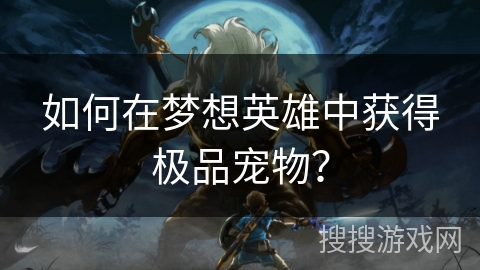 如何在梦想英雄中获得极品宠物？