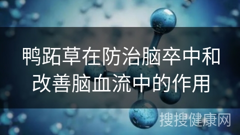 鸭跖草在防治脑卒中和改善脑血流中的作用