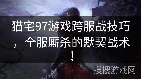 猫宅97游戏跨服战技巧，全服厮杀的默契战术！