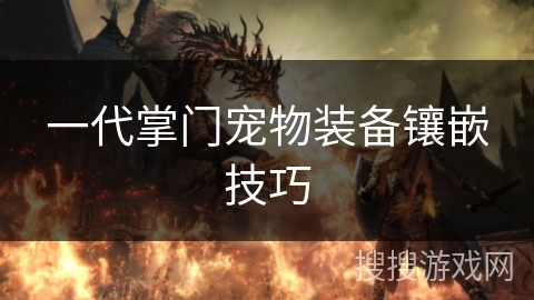 一代掌门宠物装备镶嵌技巧