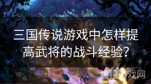 三国传说游戏中怎样提高武将的战斗经验?