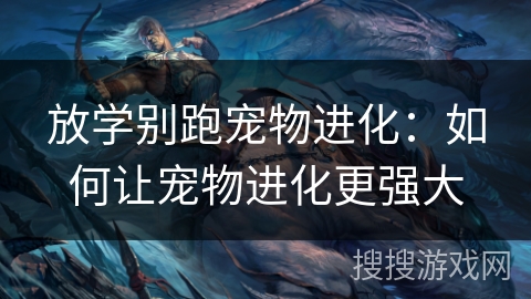 放学别跑宠物进化：如何让宠物进化更强大