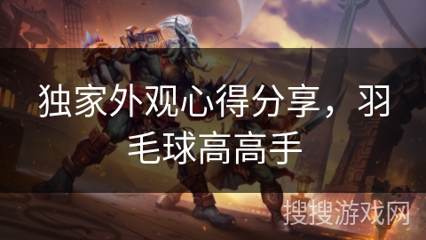 独家外观心得分享,羽毛球高高手 独家外观心得分享,羽毛球高高手