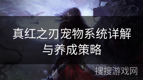真红之刃宠物系统详解与养成策略 真红之刃宠物系统详解与养成策略