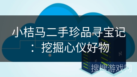 小桔马二手珍品寻宝记:挖掘心仪好物 小桔马二手珍品寻宝记:挖掘心仪好物