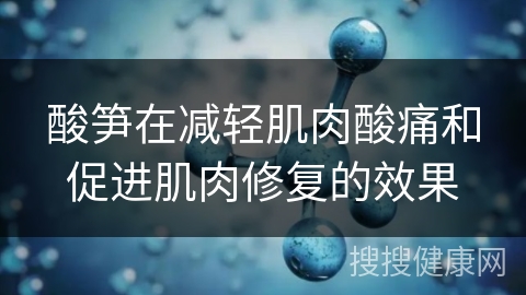 酸笋在减轻肌肉酸痛和促进肌肉修复的效果