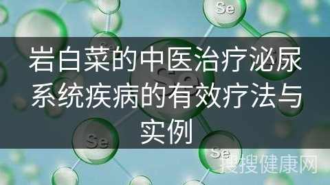 岩白菜的中医治疗泌尿系统疾病的有效疗法与实例