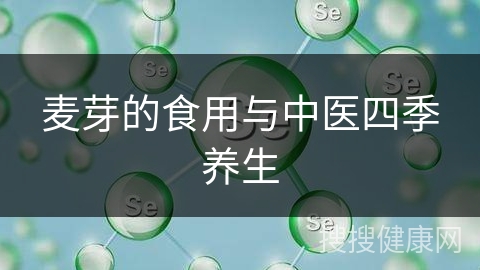 麦芽的食用与中医四季养生