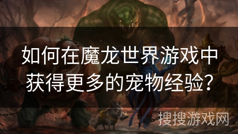 如何在魔龙世界游戏中获得更多的宠物经验？