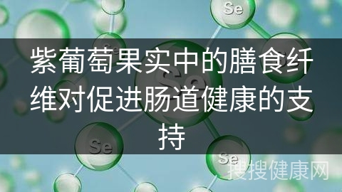 紫葡萄果实中的膳食纤维对促进肠道健康的支持