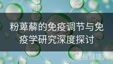 粉萆薢的免疫调节与免疫学研究深度探讨