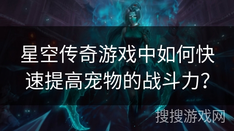 星空传奇游戏中如何快速提高宠物的战斗力？