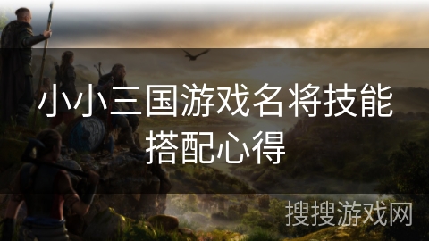 小小三国游戏名将技能搭配心得