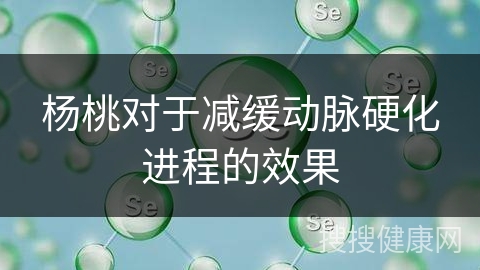 杨桃对于减缓动脉硬化进程的效果