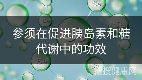 参须在促进胰岛素和糖代谢中的功效