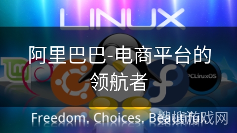 阿里巴巴-电商平台的领航者 阿里巴巴-电商平台的领航者