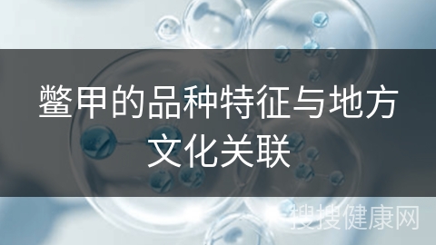 鳖甲的品种特征与地方文化关联