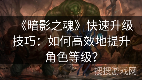 《暗影之魂》快速升级技巧：如何高效地提升角色等级？