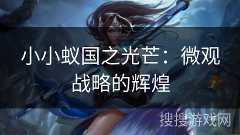 小小蚁国之光芒：微观战略的辉煌