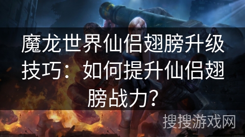 魔龙世界仙侣翅膀升级技巧：如何提升仙侣翅膀战力？