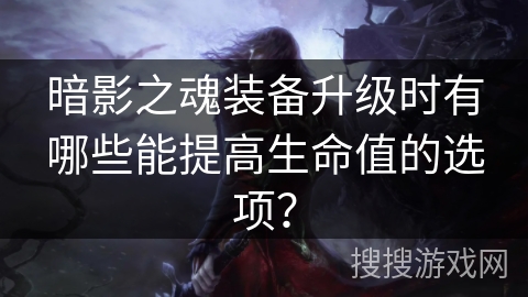 暗影之魂装备升级时有哪些能提高生命值的选项？