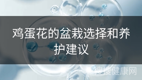 鸡蛋花的盆栽选择和养护建议