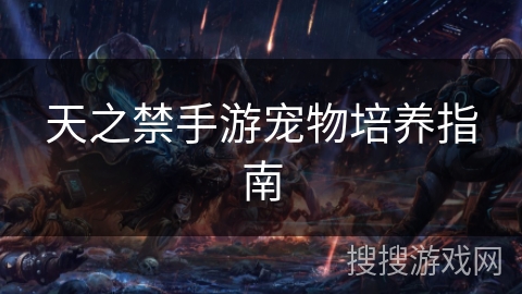 天之禁手游宠物培养指南 天之禁手游宠物培养指南