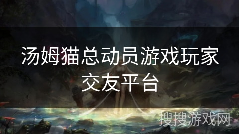 汤姆猫总动员游戏玩家交友平台