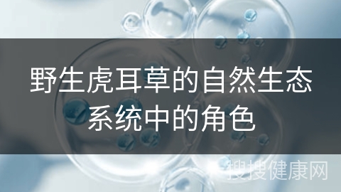 野生虎耳草的自然生态系统中的角色