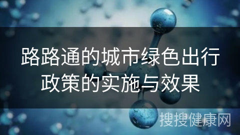 路路通的城市绿色出行政策的实施与效果