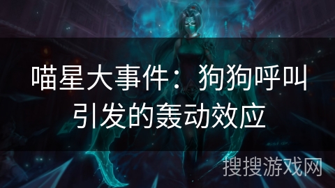 喵星大事件：狗狗呼叫引发的轰动效应