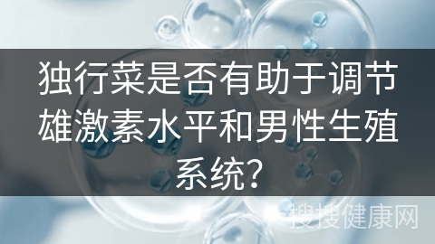 独行菜是否有助于调节雄激素水平和男性生殖系统？