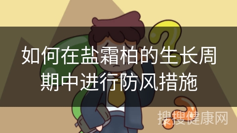 如何在盐霜柏的生长周期中进行防风措施