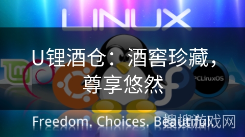 U锂酒仓：酒窖珍藏，尊享悠然