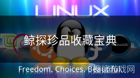 鲸探珍品收藏宝典