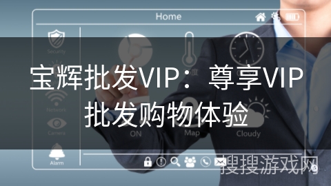 宝辉批发VIP：尊享VIP批发购物体验