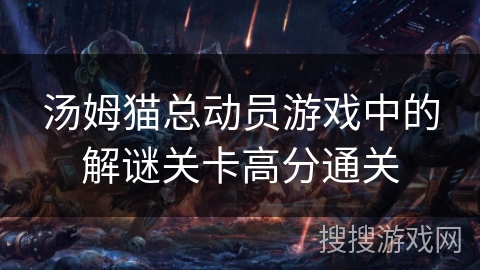 汤姆猫总动员游戏中的解谜关卡高分通关