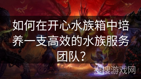 如何在开心水族箱中培养一支高效的水族服务团队？