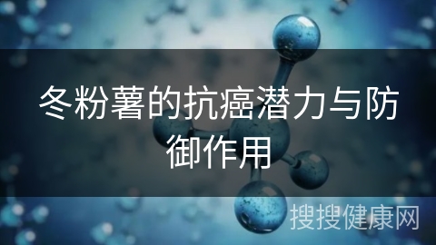 冬粉薯的抗癌潜力与防御作用