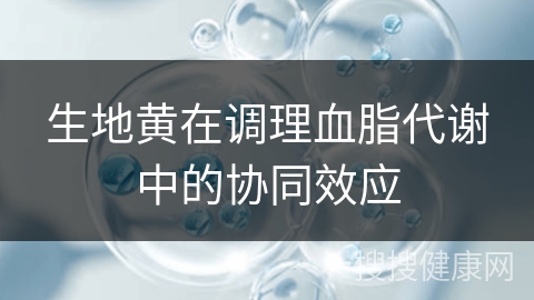 生地黄在调理血脂代谢中的协同效应