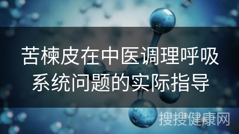 苦楝皮在中医调理呼吸系统问题的实际指导