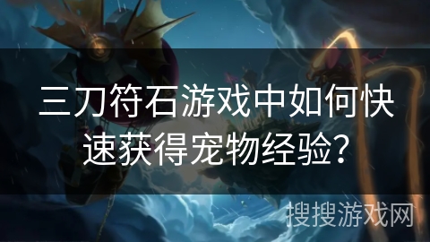 三刀符石游戏中如何快速获得宠物经验？
