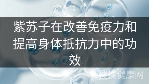 紫苏子在改善免疫力和提高身体抵抗力中的功效