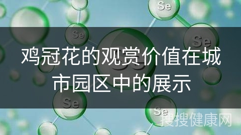 鸡冠花的观赏价值在城市园区中的展示