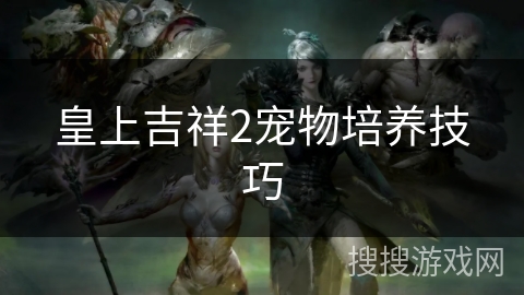 皇上吉祥2宠物培养技巧