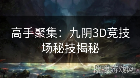 高手聚集：九阴3D竞技场秘技揭秘