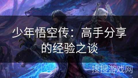 少年悟空传：高手分享的经验之谈